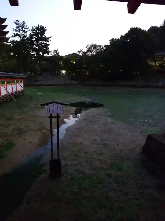 厳島神社(広島県)