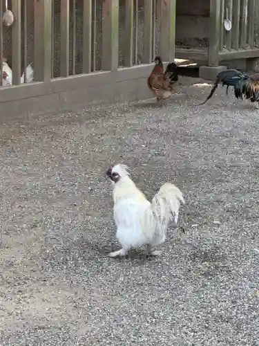 石上神宮(奈良県)