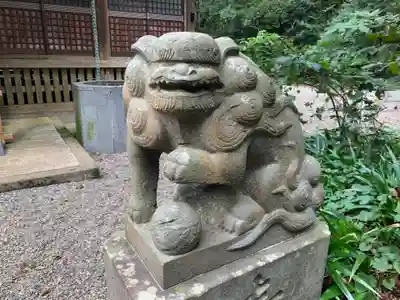 縣神社の狛犬