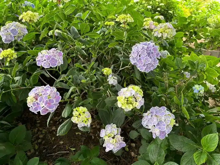 能護寺(埼玉県)