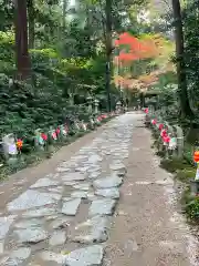 金剛輪寺の景色