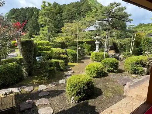 大池寺の{uncategorized: "未分類", other: "その他", undefined: "問題あり", building: "その他建物", grave: "お墓", sacred_gate: "鳥居", guardian: "狛犬", statue: "像", buddha: "仏像", history: "歴史", nature: "自然", garden: "庭園", animal: "動物", pagoda: "塔", temizu: "手水舎", mountain_gate: "山門・神門", sanctuary: "本殿・本堂", subordinate: "末社・摂社", art: "芸術", scenery: "景色", jizo: "地蔵", ema: "絵馬", goshuin: "御朱印", omikuji: "おみくじ", items: "授与品その他", amulet: "お守り", goshuincho: "御朱印帳", eats: "食事", festival: "お祭り", votive_dance: "神楽", shichigosan: "七五三参", wedding: "結婚式", experience: "体験その他", initially: "初詣", around: "周辺", anti_infection: "感染症対策"}