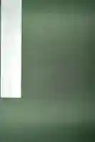 津島本宮社の御朱印帳