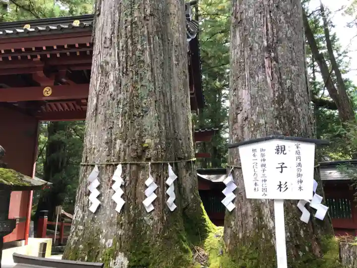 日光二荒山神社の自然