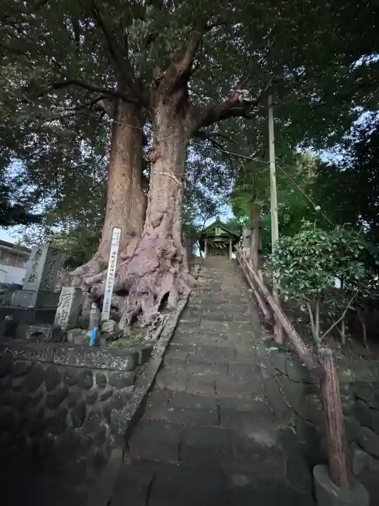 愛宕神社の{uncategorized: "未分類", other: "その他", undefined: "問題あり", building: "その他建物", grave: "お墓", sacred_gate: "鳥居", guardian: "狛犬", statue: "像", buddha: "仏像", history: "歴史", nature: "自然", garden: "庭園", animal: "動物", pagoda: "塔", temizu: "手水舎", mountain_gate: "山門・神門", sanctuary: "本殿・本堂", subordinate: "末社・摂社", art: "芸術", scenery: "景色", jizo: "地蔵", ema: "絵馬", goshuin: "御朱印", omikuji: "おみくじ", items: "授与品その他", amulet: "お守り", goshuincho: "御朱印帳", eats: "食事", festival: "お祭り", votive_dance: "神楽", shichigosan: "七五三参", wedding: "結婚式", experience: "体験その他", initially: "初詣", around: "周辺", anti_infection: "感染症対策"}