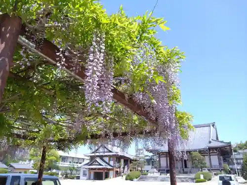 三河別院(愛知県)