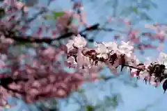 月寒神社(北海道)