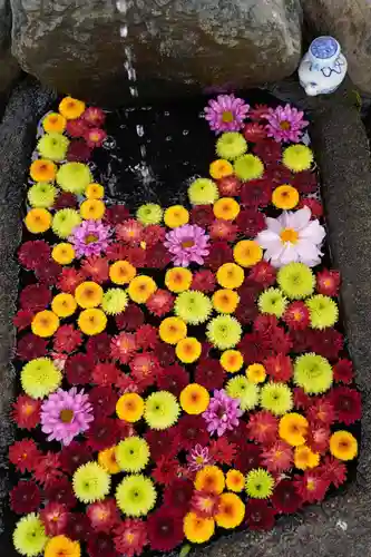 大鏑神社の手水