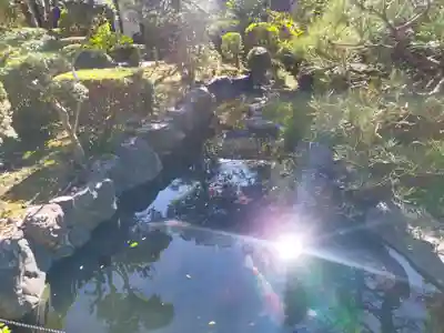 瑞光寺(京都府)