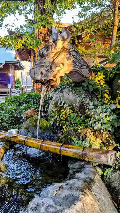 松戸神社(千葉県)
