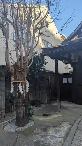 八坂神社御供社（又旅社）の自然