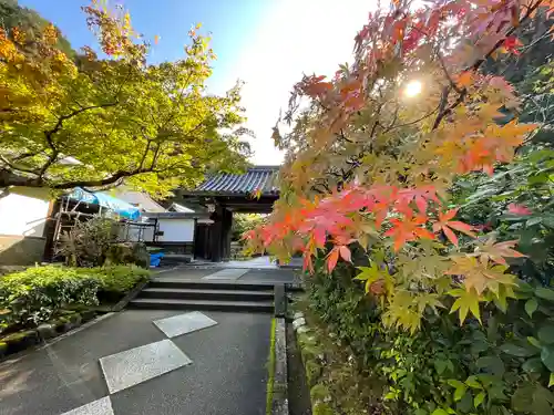 高徳庵　(最勝院）の山門