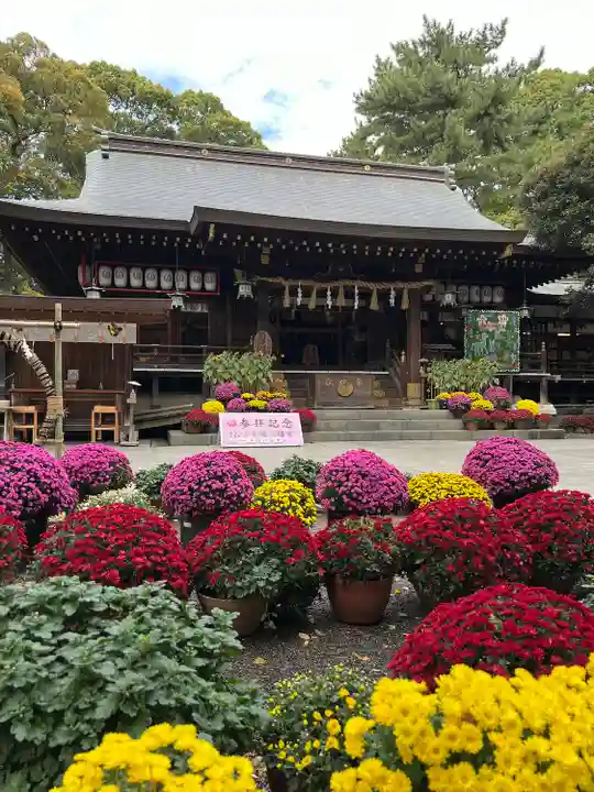 平塚八幡宮(神奈川県)
