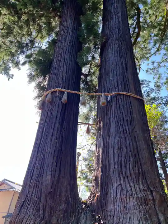 日枝神社(静岡県)