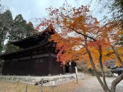 園城寺（三井寺）(滋賀県)