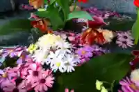 三津厳島神社の手水舎