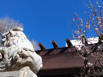 高円寺氷川神社(東京都)