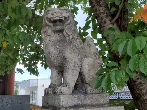 龍宮神社の狛犬