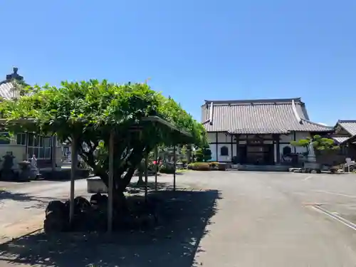 天龍寺(埼玉県)