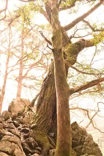 横倉宮(高知県)