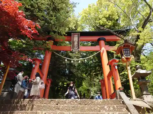 新倉富士浅間神社の鳥居