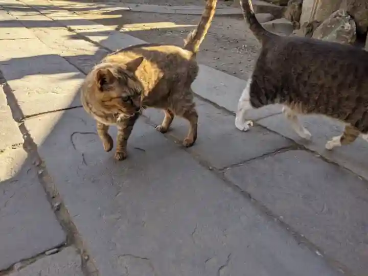 小野照崎神社の動物