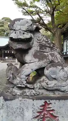 畑子安神社の狛犬