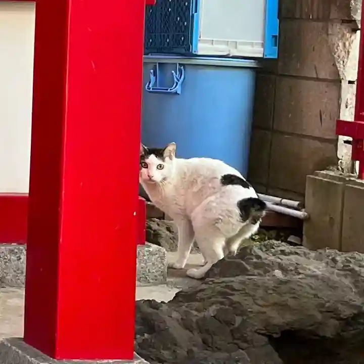 装束稲荷神社(王子稲荷神社境外摂社)の動物