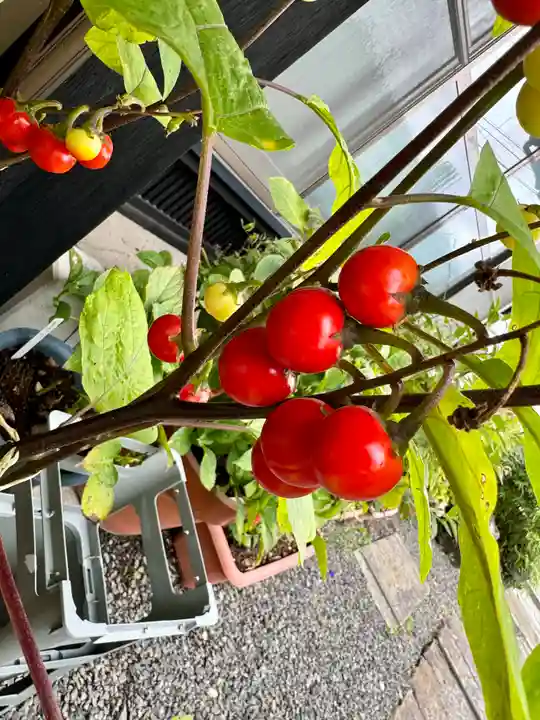 豊景神社(福島県)