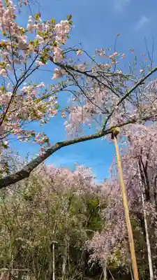 龍安寺(京都府)