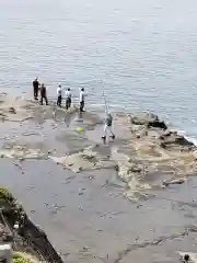 江島神社の自然