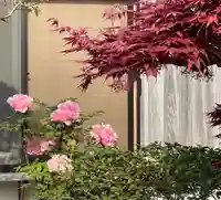 梅香寺(三重県)