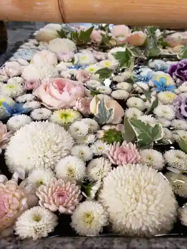 高円寺氷川神社の手水舎