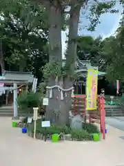 川越八幡宮(埼玉県)