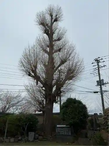 光明寺(神奈川県)