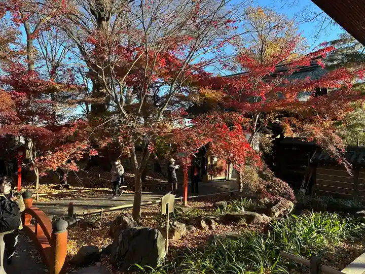 淨眞寺(東京都)