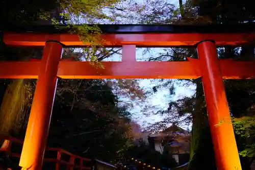 貴船神社の鳥居