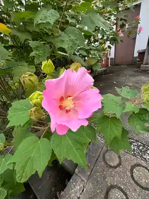 蔵林寺(京都府)