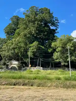 劔主神社(奈良県)