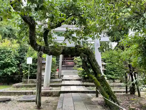 北野天満宮(京都府)