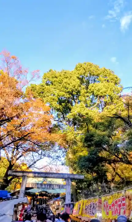 大鷲神社(東京都)