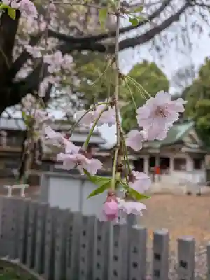 荻窪白山神社(東京都)