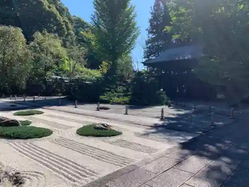 慈雲寺の庭園