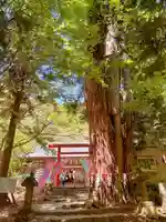 磐椅神社(福島県)