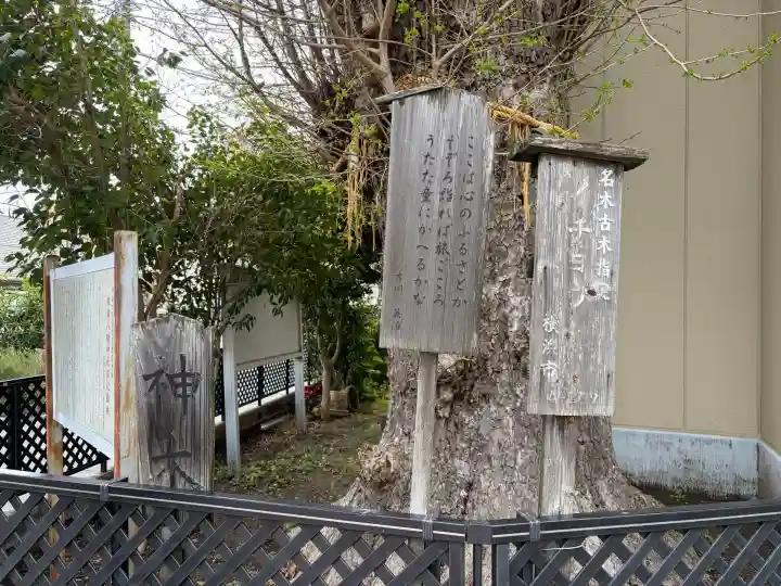 根岸八幡神社の{uncategorized: "未分類", other: "その他", undefined: "問題あり", building: "その他建物", grave: "お墓", sacred_gate: "鳥居", guardian: "狛犬", statue: "像", buddha: "仏像", history: "歴史", nature: "自然", garden: "庭園", animal: "動物", pagoda: "塔", temizu: "手水舎", mountain_gate: "山門・神門", sanctuary: "本殿・本堂", subordinate: "末社・摂社", art: "芸術", scenery: "景色", jizo: "地蔵", ema: "絵馬", goshuin: "御朱印", omikuji: "おみくじ", items: "授与品その他", amulet: "お守り", goshuincho: "御朱印帳", eats: "食事", festival: "お祭り", votive_dance: "神楽", shichigosan: "七五三参", wedding: "結婚式", experience: "体験その他", initially: "初詣", around: "周辺", anti_infection: "感染症対策"}