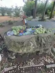 飯福神社(群馬県)