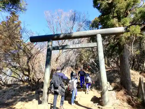 大山阿夫利神社の鳥居