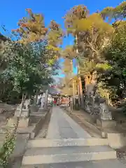 宗像神社(千葉県)