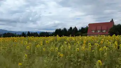 火の山神社の周辺