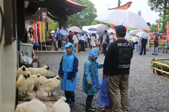 高屋敷稲荷神社の景色